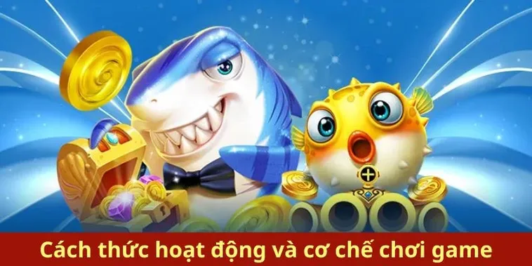 Hướng Dẫn Cách Chơi Bắn Cá Royal Fishing Tại DV88 Hiệu Quả 2 Hướng Dẫn Cách Chơi Bắn Cá Royal Fishing Tại DV88 Hiệu Quả