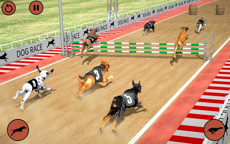 Hướng Dẫn Chơi Game Nhanh Đua Chó Tại DV88: Bí Quyết Thắng Lớn